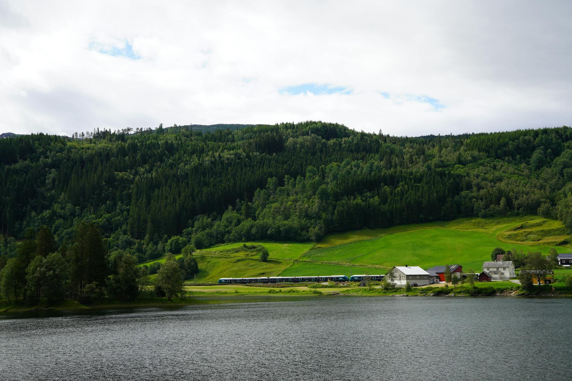 Pociąg wśród zielonych wzgórz nad jeziorem w norweskim krajobrazie